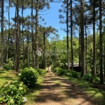 Fazenda à venda na Ipê, 2, Eletra, São Francisco de Paula