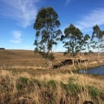 Fazenda à venda na Getúlio Vargas, 937, 0001, Centro, Cambará do Sul