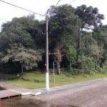 Terreno à venda na Alziro Torres Filho, 0002, Centro, São Francisco de Paula