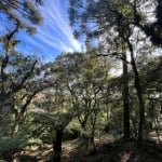 Terreno à venda na Saldanha Marinho, 500, Centro, São Francisco de Paula