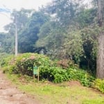 Terreno à venda na Dos Alpes, 2, Centro, São Francisco de Paula