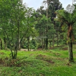 Terreno à venda na Do Pessegueiro, 1, Centro, São Francisco de Paula