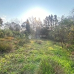 Terreno à venda na Tupi, 26, Remanso Indianópolis, São Francisco de Paula