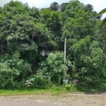 Terreno à venda na Dos Alpes, 87, São Bernardo, São Francisco de Paula