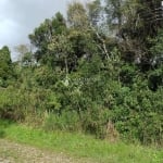 Terreno à venda na Mata Atlântica, 60, Alpes, São Francisco de Paula