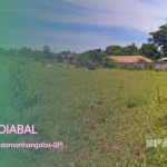 Terreno à venda, 4000 m² por R$ 450.000,00 - Goiabal - Pindamonhangaba/SP