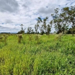 Terreno à venda, 1000 m² por R$ 105.000,00 - Mandú - Pindamonhangaba/SP