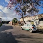 Terreno plano no bairro Tristeza, medindo 14 metros de frente por 70 de fundos. A 30 metros da rua Pereira Neto,  transporte público, comércios e colégios no entorno.