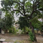 Excelente terreno para diversos fins! Localização nobre na Rua Eudoro Berlink entre a Artur Rocha e Carlos Trein Filho. 6,60 x 33. &lt;BR&gt;&lt;BR&gt; Aprox. 220m². Aceito imóvel de menor valor ou ve