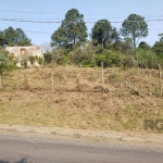 T erreno na vila nova com 2000 m2 em local alto com vista privilegiada , local tranquilo com muitas árvores frutíferas, próximo ao Santuário Mãe de Deus. Existe outro acesso  individual e prioritário 