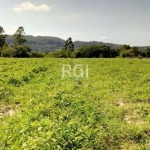 Área rural na região do Lami, bairro Extrema com  2,0 ha em terreno plano, possui  área para plantio e nos fundos possui um açude com mata nativa terminando no Arroio da Divisa. Localizado a menos de 