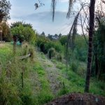 Terreno parte plano alongando em declive, totalizando a metragem de 8.765 m², bem localizado próximo a Rua Cristiano Kramer, ônibus e acesso fácil.  Venha conhecer!