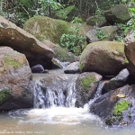 Chácara para Venda em Socorro, Zona Rural, 3 dormitórios, 3 banheiros, 3 vagas