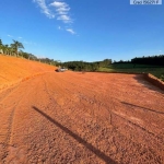 Terreno para Venda em Pedra Bela, Limas