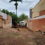 VENDO OU ALUGO TERRENO EM CAMPINAS NO CAMBUI, COM DUZENTOS E NOVENTA E CINCO METROS, RUA COM BOM FLUXO, PERTO DA AVENIDA CORONEL SILVA TELLES.