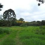 Terreno para Venda em Roseira São José dos Pinhais-PR