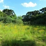 Terreno para Venda em Centro Araucária-PR