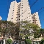 Apartamento com 3 quartos para alugar na Avenida Dom Jaime de Barros Câmara, 625, Planalto, São Bernardo do Campo