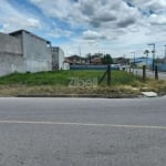 TERRENO no PARANAGUAMIRIM com 0 quartos para VENDA, 502 m²