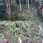 Terreno à venda, Granja Guarani - Teresópolis/RJ