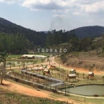 Terreno à venda, Colônia Alpina - Teresópolis/RJ