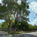 TERRENO para aluguel, José de Alencar - FORTALEZA/CE