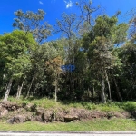 Terreno em condomínio fechado à venda na Das Papoulas, 380, Parque Das Orquídeas, Gramado