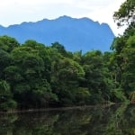 Chácara exuberante em Morretes PR as margens do Rio Nhundiaquara.