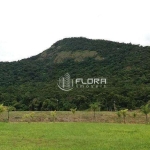 Terreno à venda, 875 m² por R$ 180.000 - Ubatiba - Maricá/RJ