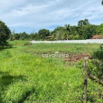 Terreno plano as margens da Rodovia Amaral Peixoto - Vale da Figueira