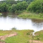 FAZENDA COM 166 ALQUEIRES PAULISTAS DUPLA APTIDÃO EM RIBAS DO RIO PARDO - MS