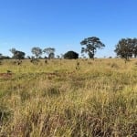 FAZENDA COM 30 ALQUEIRES DUPLA APTIDÃO NO MUNICÍPIO DE CAMPINA VERDE - MG