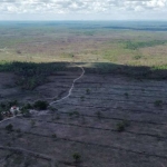 FAZENDA COM 4.000 ALQUEIRES DUPLA APTIDÃO NO MUNICÍPIO DE CAMPOS LINDOS - TO