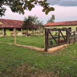 FAZENDA DUPLA APTIDÃO COM 206 ALQUEIRES EM SERRANÓPOLIS - GO