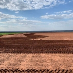 FAZENDA PARA AGRICULTURA COM 1.070 HECTARES EM TERENOS - MS