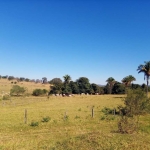 FAZENDA DUPLA APTIDÃO COM 183 ALQUEIRES EM CALDAS NOVAS - GO