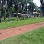 FAZENDA COM 81 ALQUEIRES PARA PECUÁRIA NO MUNICÍPIO DE BOM JARDIM DE GOIÁS - GO