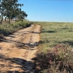 FAZENDA PARA AGRICULTURA COM 45 ALQUEIRES EM IPAMERI - GO