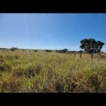 FAZENDA COM 500 ALQUEIRES DUPLA APTIDÃO NO MUNICÍPIO DE BOM JARDIM DE GOIÁS - GO