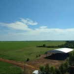 FAZENDA COM  285 ALQUEIRES PARA AGRICULTURA EM DOIS IRMÃOS DO TOCANTINS-TO