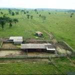 FAZENDA COM 220 ALQUEIRES DUPLA APTIDÃO NO MUNICÍPIO DE SÃO FÉLIX DO XINGU - PA