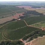 FAZENDA PARA AGRICULTURA EM LARANJA COM 170 ALQUEIRES PAULISTAS EM ANGATUBA - SP