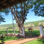 FAZENDA DUPLA APTIDÃO COM 72 ALQUEIRES EM CAMPO FLORIDO - MG