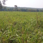 FAZENDA COM  255 ALQUEIRES DUPLA APTIDÃO EM DOIS IRMÃOS DO TOCANTINS-TO