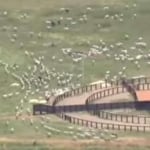 FAZENDA PARA PECUÁRIA COM 6.135 HECTARES EM SANTO ANTÕNIO DO LEVERGER - MT