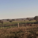 FAZENDA DUPLA APTIDÃO COM 1.092 HECTARES EM CASSILÂNDIA - MS