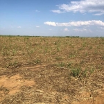 FAZENDA PARA AGRICULTURA EM CANA COM 81 ALQUEIRES EM URUAÇU - GO