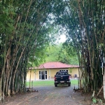 FAZENDA DUPLA APTIDÃO 382 ALQUEIRES EM SANTANA DO ARAGUAIA-PA