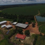 FAZENDA COM 955 ALQUEIRES DUPLA APTIDÃO EM DIVINÓPOLIS DO TOCANTINS - TO