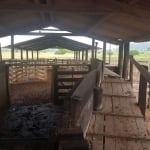 FAZENDA COM 1.042 ALQUEIRES DUPLA APTIDÃO EM SÃO FÉLIX DO XINGU-PA